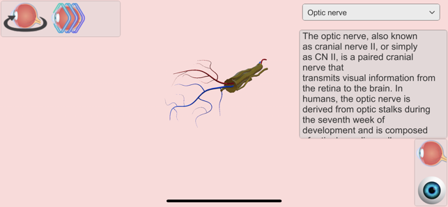 ‎Eye Anatomy Atlas Screenshot