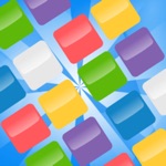 1010 Block Puzzle Game