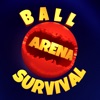Ball Arena Survival