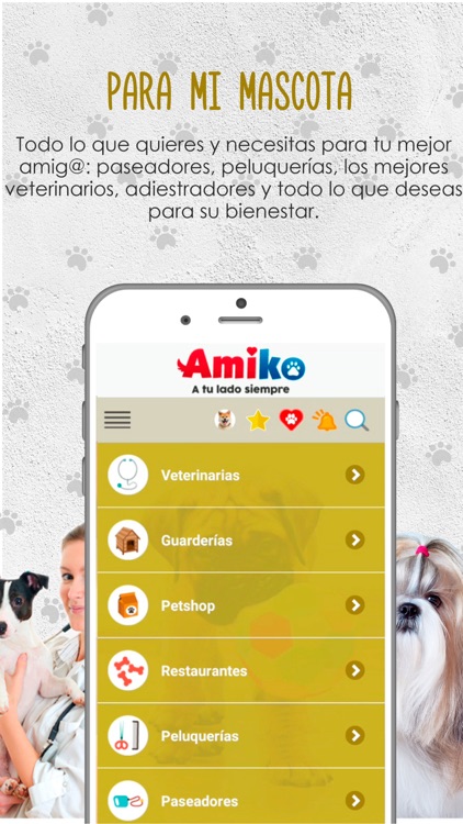 Amiko screenshot-5