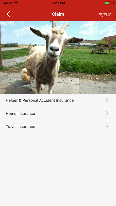 iPlus Insurance screenshot 2