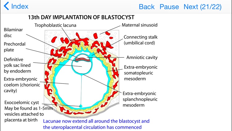 Embryology Lectures