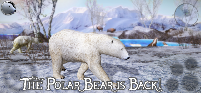 Polar Bear Simulator 2