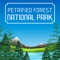 Explore Petrified Forest National Park