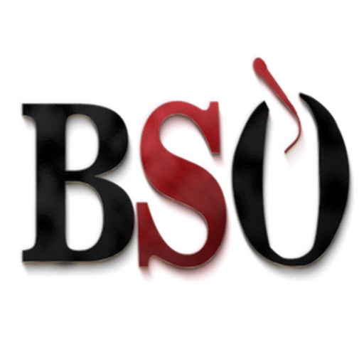 BSO: BlackSportsOnline by Robert Little