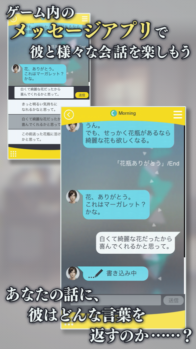 囚われのパルマ screenshot1