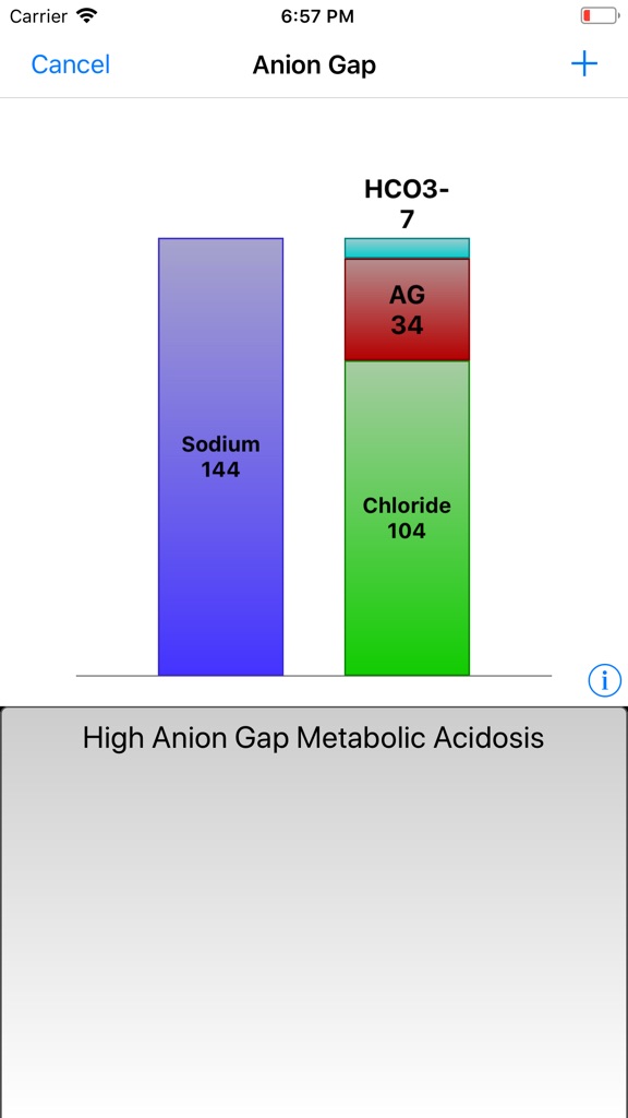 【图】Graphical Arterial Blood Gas(截图3)