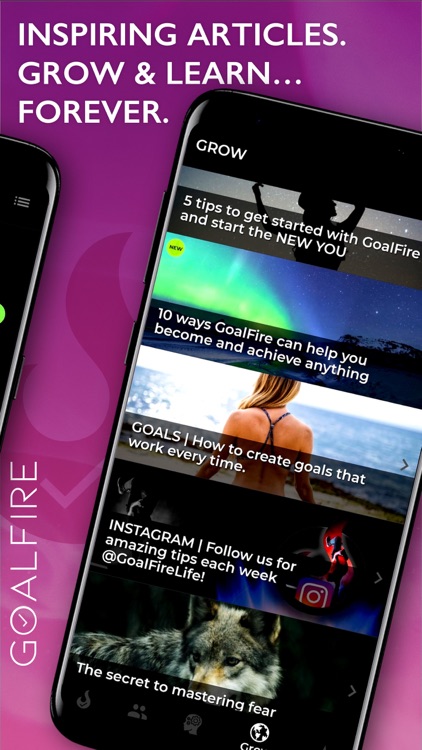 GoalFire | Design Your Life