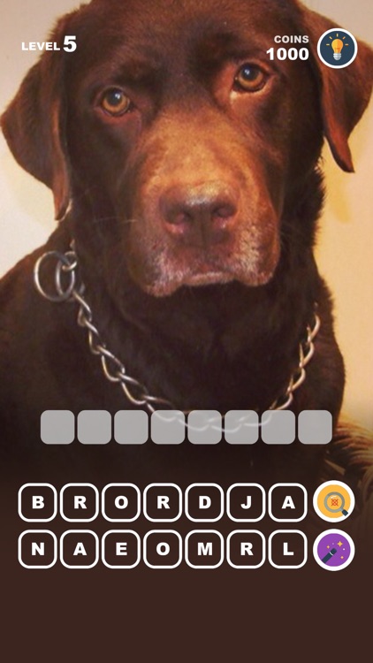 Dog Breed Training: Pet Trivia screenshot-5