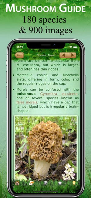 Mushroom Book & Identification(圖2)-速報App