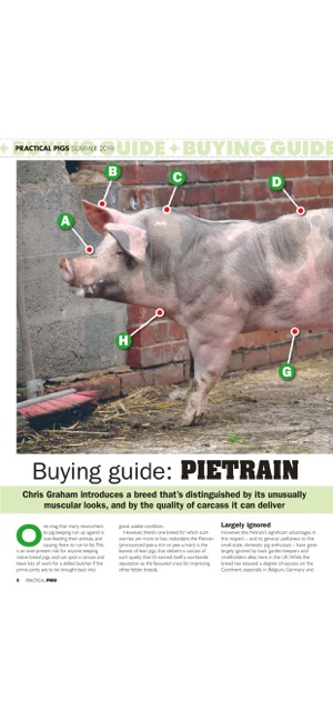 Practical Pigs Magazine(圖6)-速報App