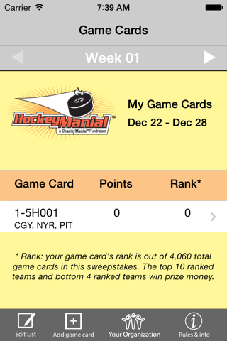 HockeyMania screenshot 2