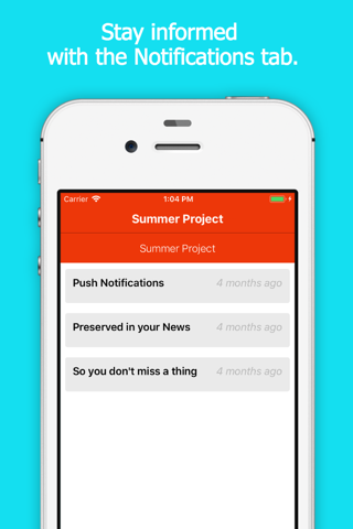 CO - Summer Project screenshot 2