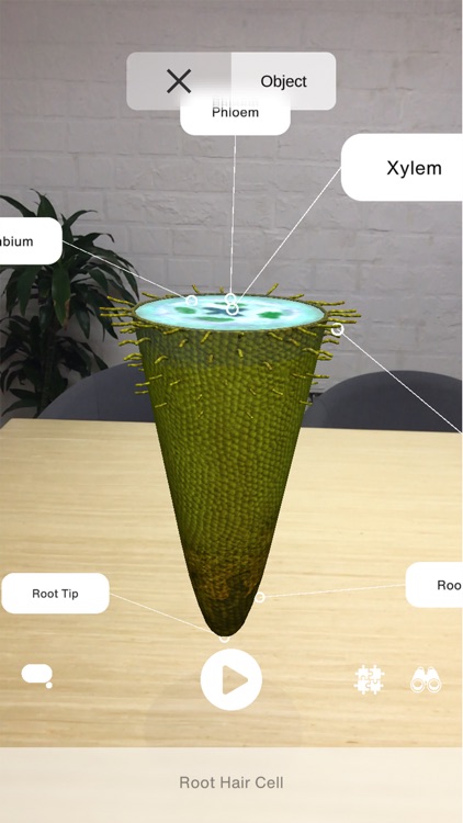 Hologo screenshot-4