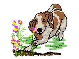 Basset Hound Dog Emoji Sticker