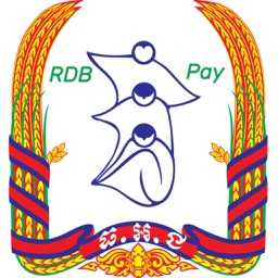 RDB PAY Pro