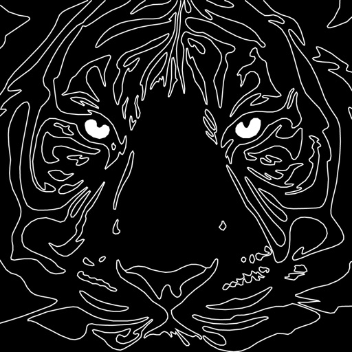 Dot to Dot Puzzles