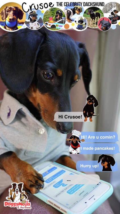 CrusoeMoji - Dachshund sticker screenshot-3