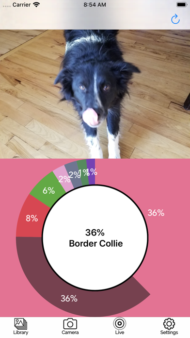 Dog Breed AI Classifier screenshot 2