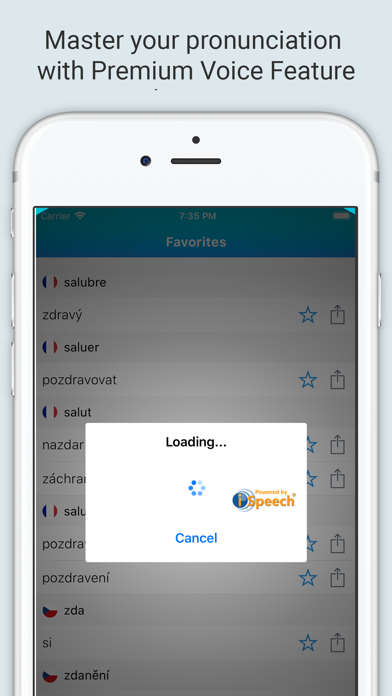French Czech Dictionary + screenshot 4