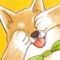 《Pikabu 適合誰?》