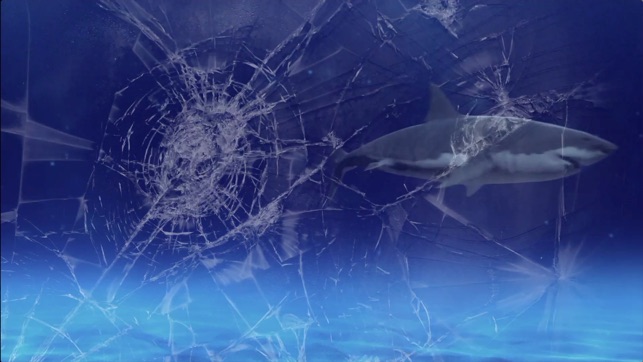 Shark Attack Video Wallpaper