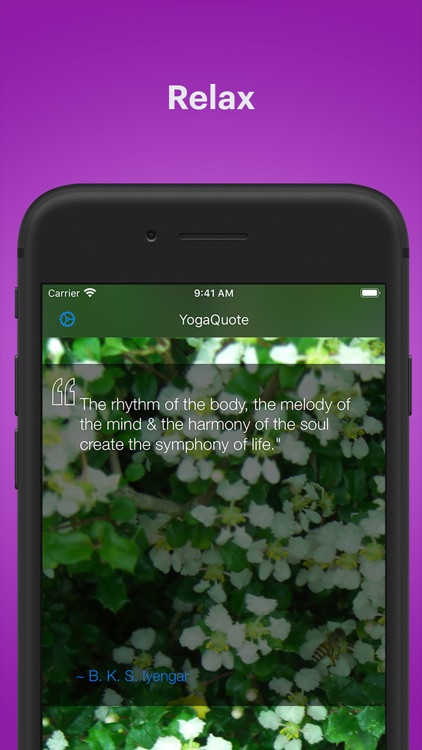 Daily Yoga Quotes - YogaQuote
