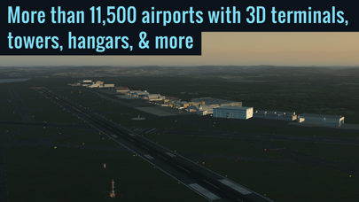 Screenshot from X-Plane Flight Simulator