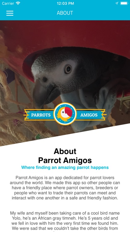 Parrots Amigos