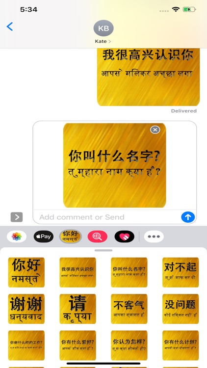 Chinese Hindi screenshot-4