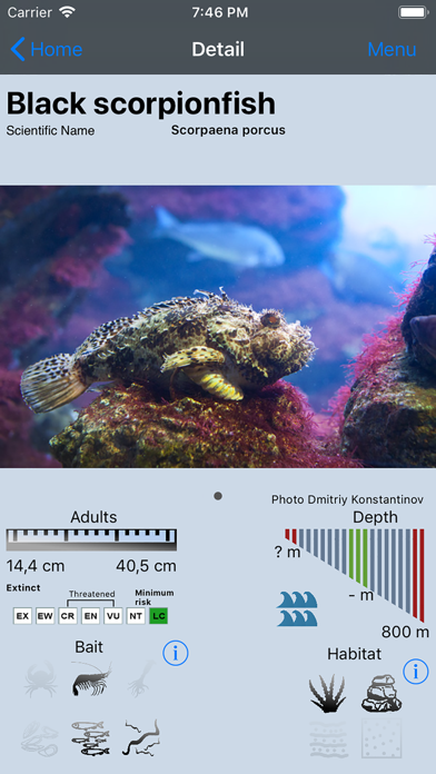 Fish Bait Lure Lite Quiz 2020 screenshot 4