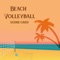 Beach Volleyball Score Card is free and without any kind of advertisement application with below features set :