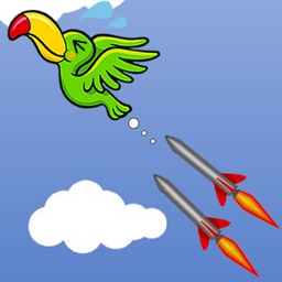 Birds and missiles