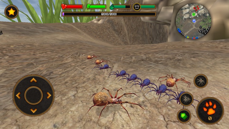 Life Of Spider screenshot-3