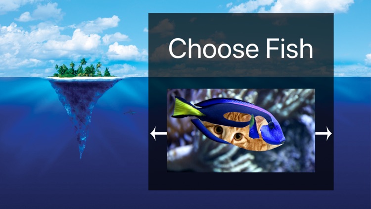 Flashy Fish: Design Evolution