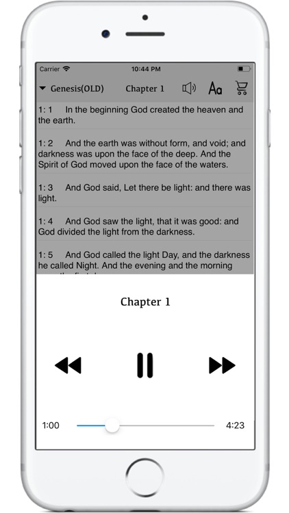 Holy Bible With Audio (KJV) screenshot-3