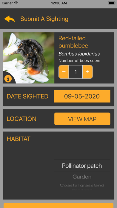 Bumblr - Guernsey Bumblebees screenshot 3