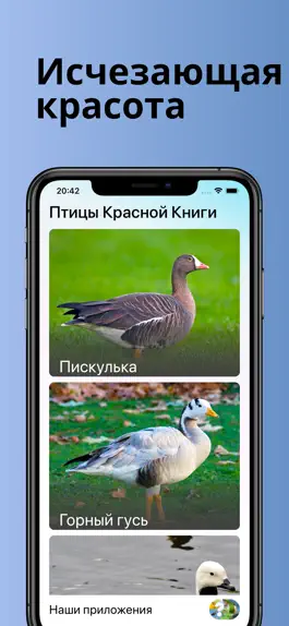 Game screenshot Птицы Красной Книги России mod apk