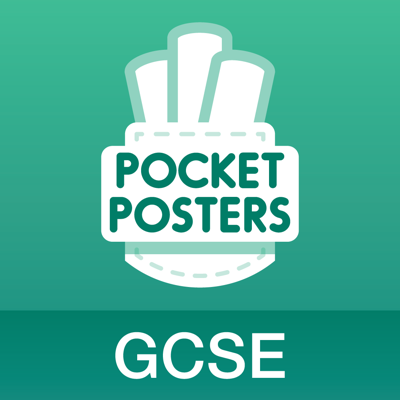 Geography GCSE Pocket Poster