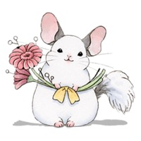 Adorable Chinchilla Sticker pour PC