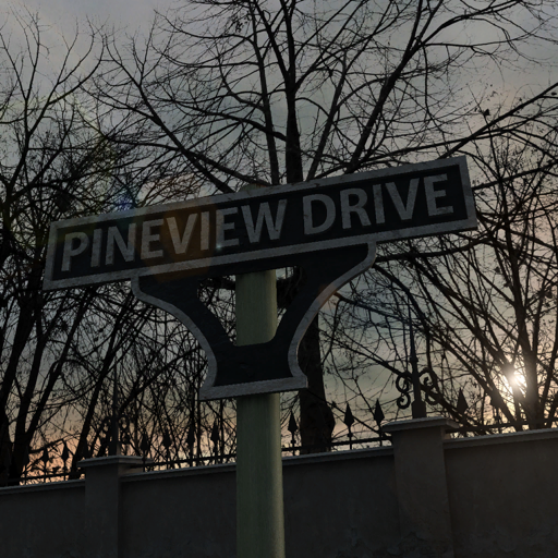 Pineview Drive 1