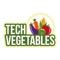 Tech Vegetables aim at delivering farm fresh vegetable and fruits at your doorstep