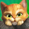 Icon Little Kitten My Cat Simulator