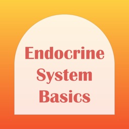 Endocrine System Basics