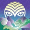 21st Annual Shambhala Music Festival - August 10-13, 2018