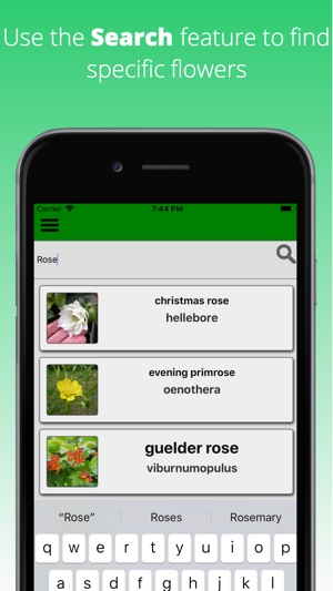 Flowers Dictionary(圖3)-速報App