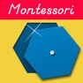 Get Montessori Geometric Cabinet for iOS, iPhone, iPad Aso Report