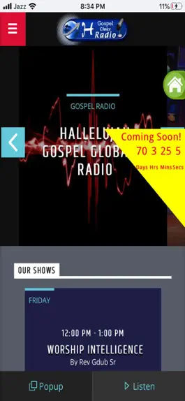 Game screenshot Hallelujah Choice Radio mod apk