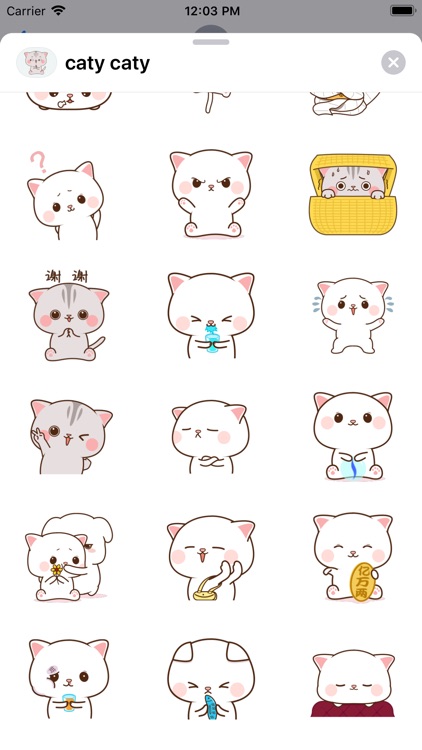 Destiny cat stickers