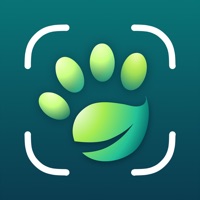 Plantum - Reconnaitre plantes pour PC